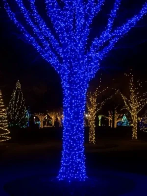 Вулична гірлянда «Різдвяна фея» 100 м, 1000 LED, чорний дріт, синє світло, фото 2